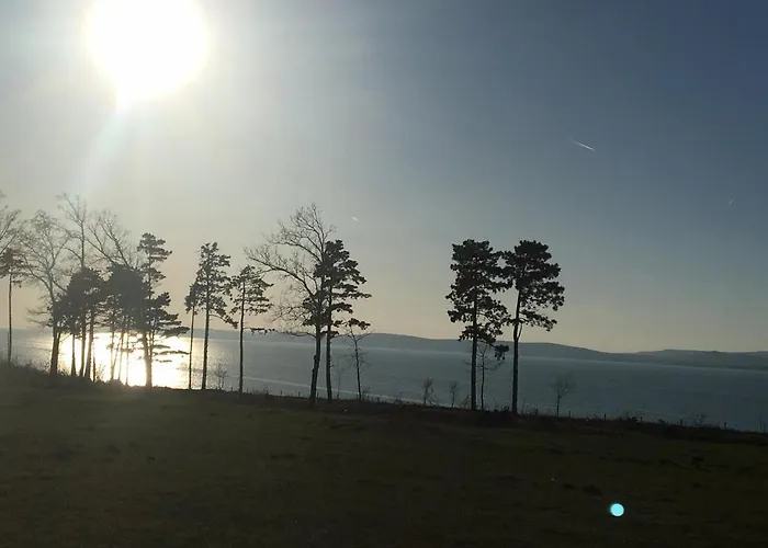 住宿加早餐酒店 B11 *